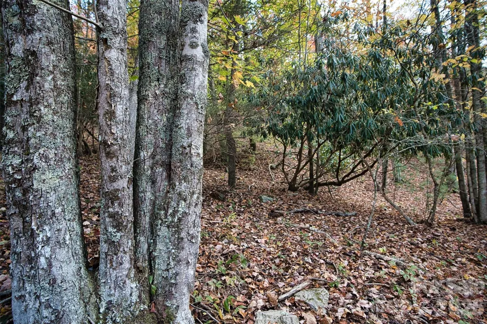 366 Renfro Road Green Mountain, NC 28740