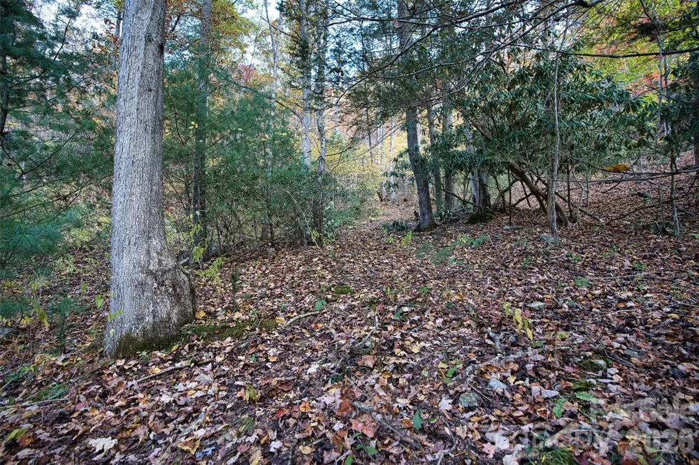 366 Renfro Road Green Mountain, NC 28740