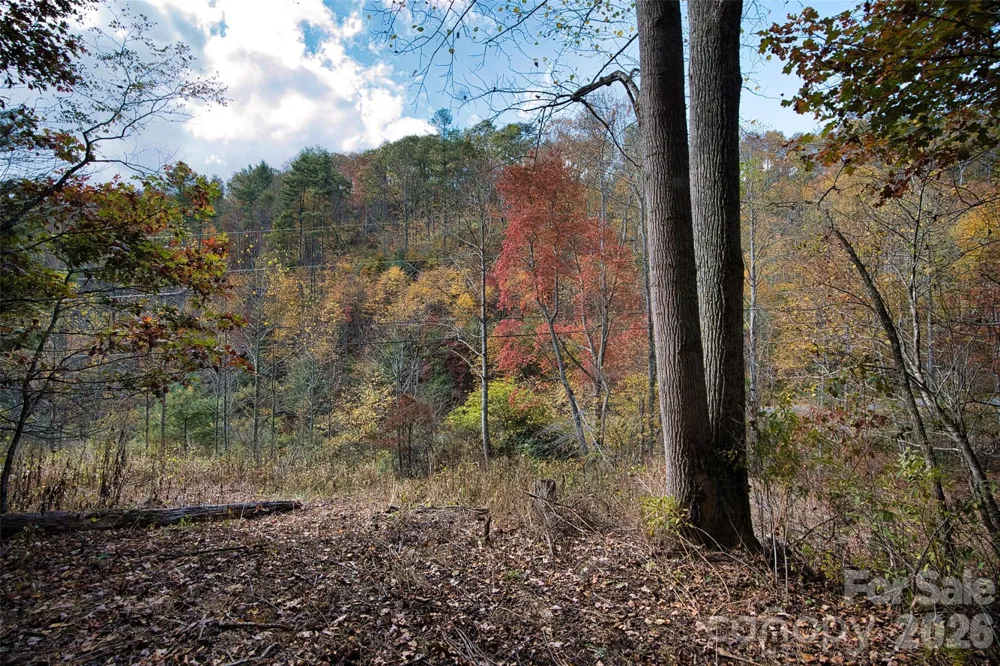 366 Renfro Road Green Mountain, NC 28740