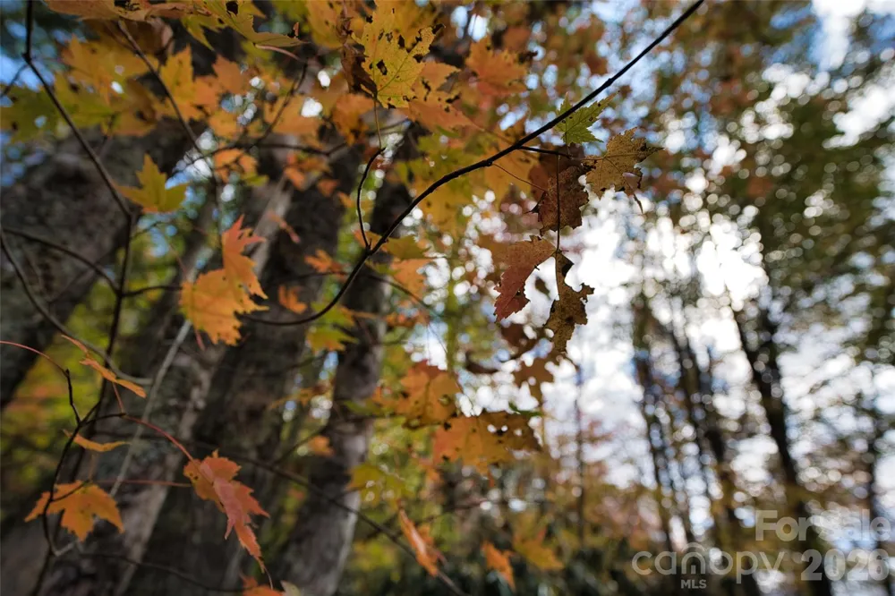 366 Renfro Road Green Mountain, NC 28740