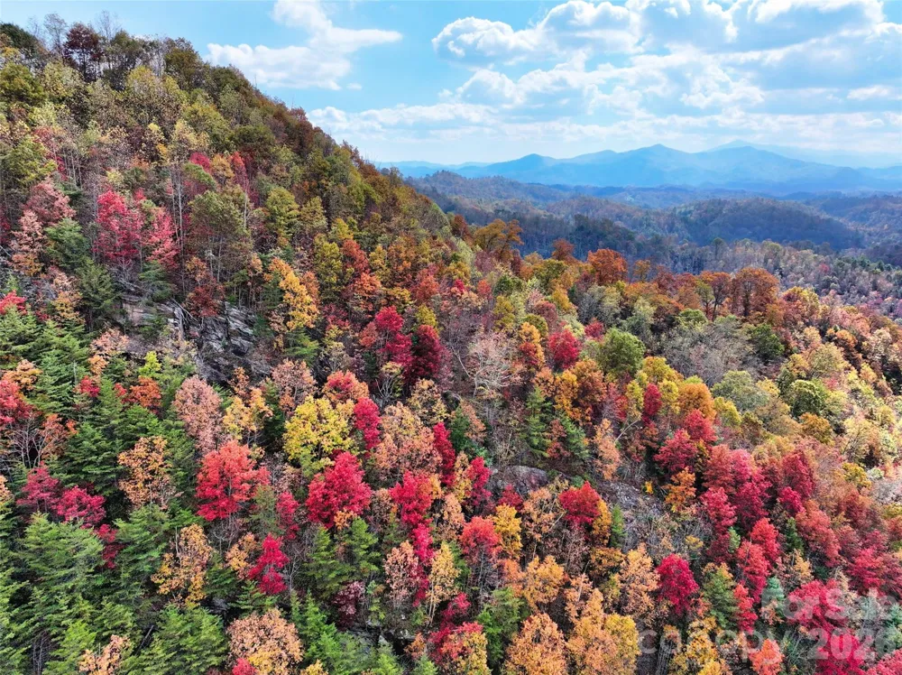 366 Renfro Road Green Mountain, NC 28740