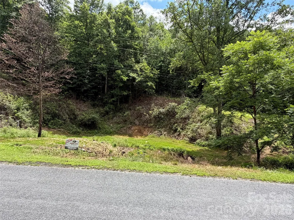 366 Renfro Road Green Mountain, NC 28740