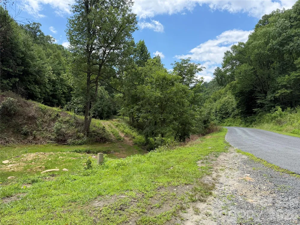 366 Renfro Road Green Mountain, NC 28740