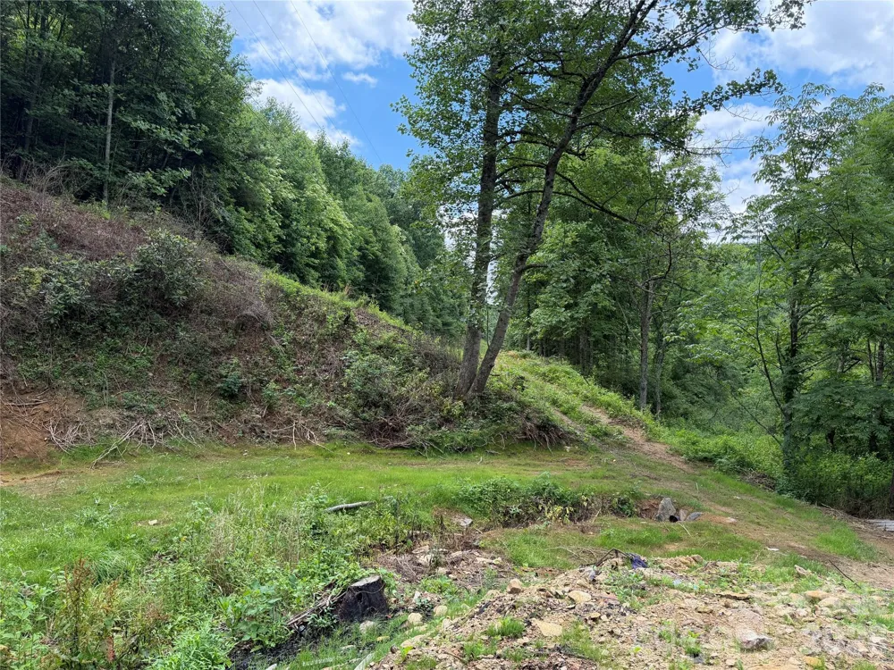 366 Renfro Road Green Mountain, NC 28740