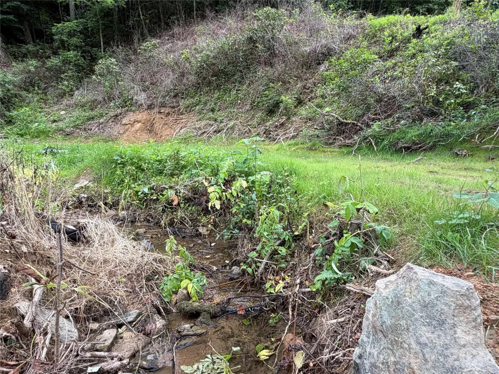 366 Renfro Road Green Mountain, NC 28740
