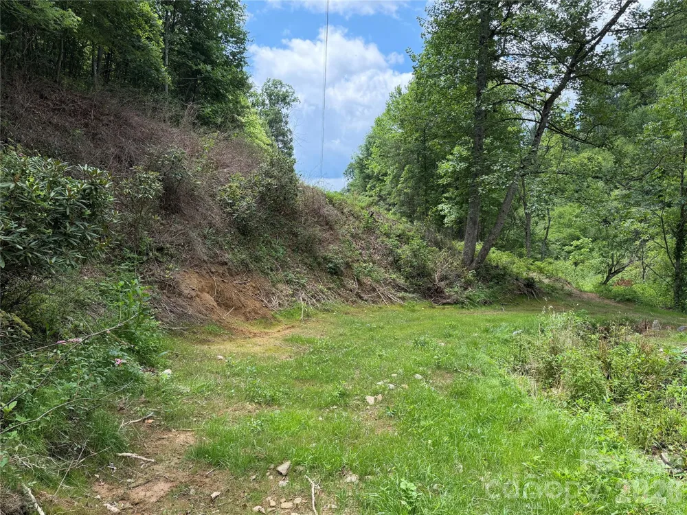 366 Renfro Road Green Mountain, NC 28740