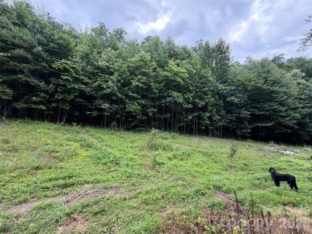366 Renfro Road Green Mountain, NC 28740