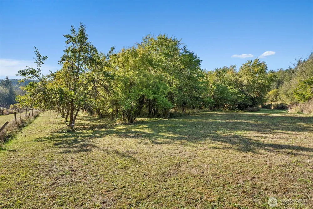 259 10 Tooley Rd Toledo, WA 98591