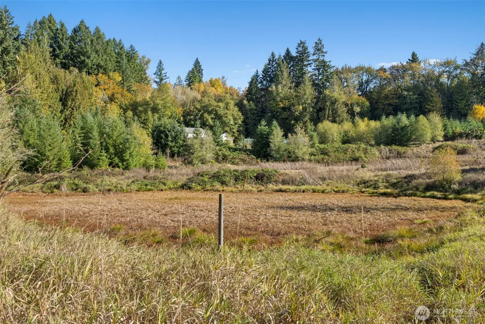 259 10 Tooley Rd Toledo, WA 98591