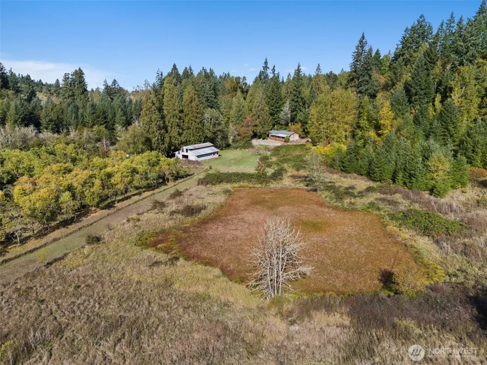 259 10 Tooley Rd Toledo, WA 98591