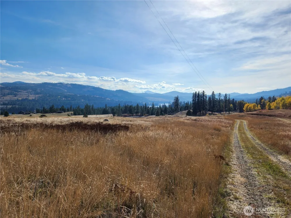 24 Spoke Lane Republic, WA 99166