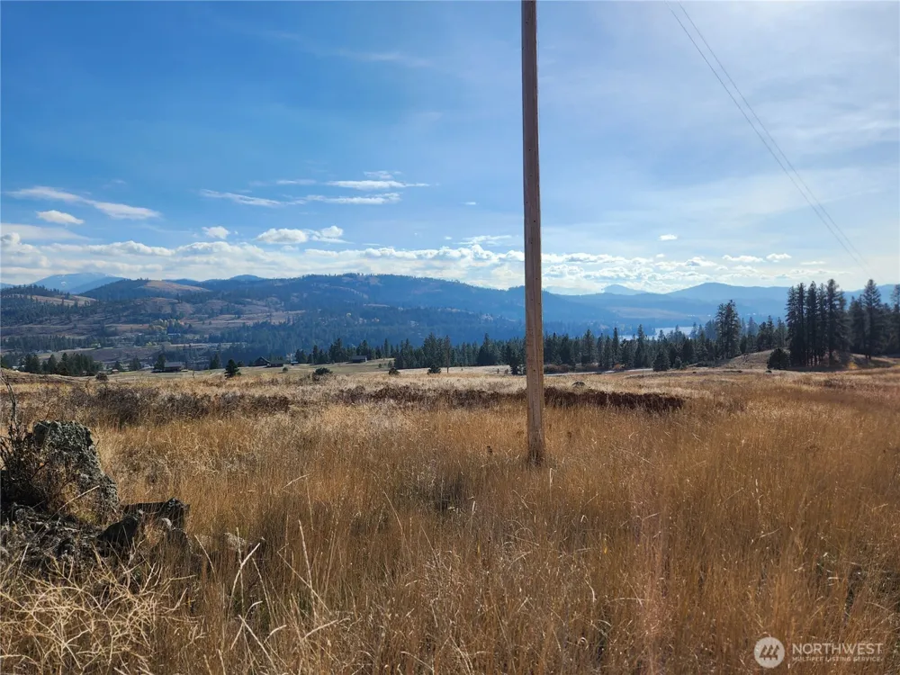 24 Spoke Lane Republic, WA 99166