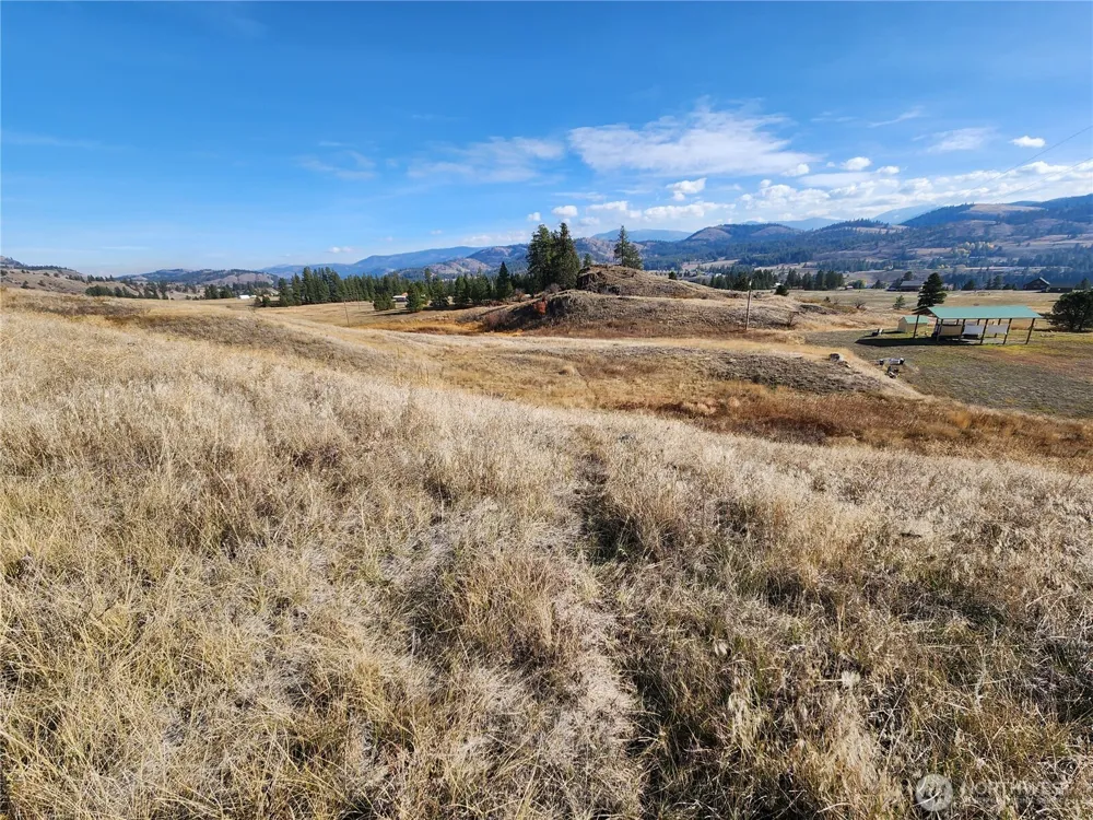 24 Spoke Lane Republic, WA 99166