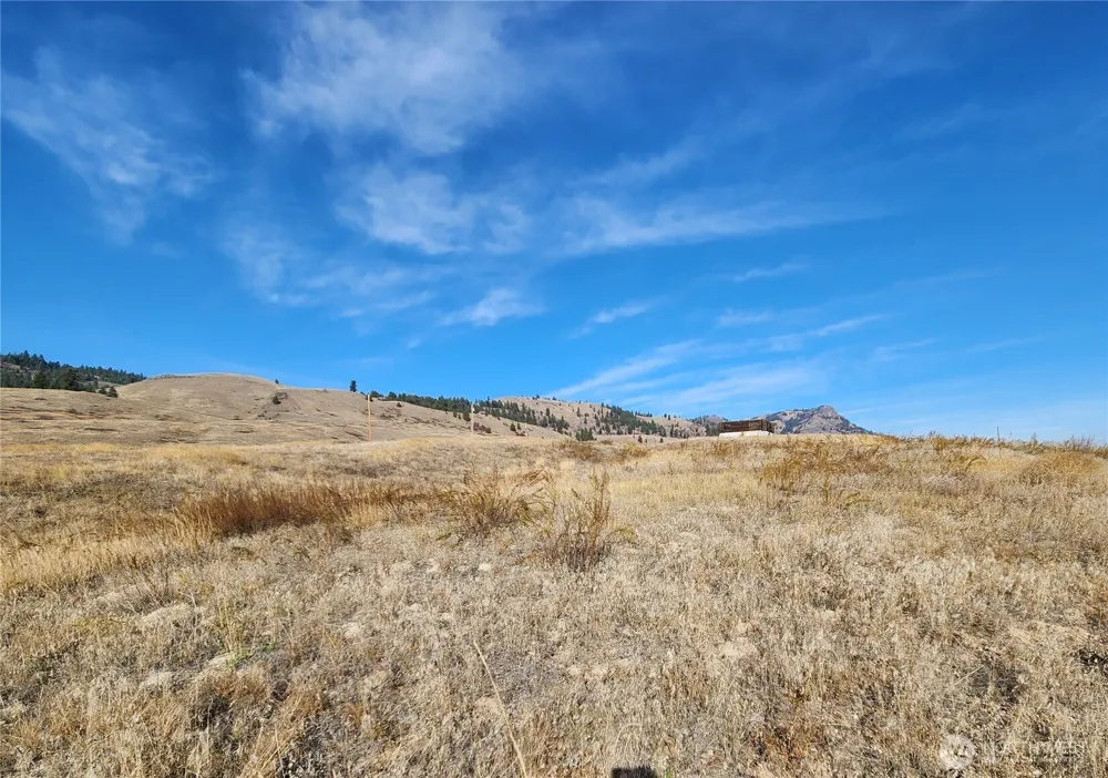 24 Spoke Lane Republic, WA 99166