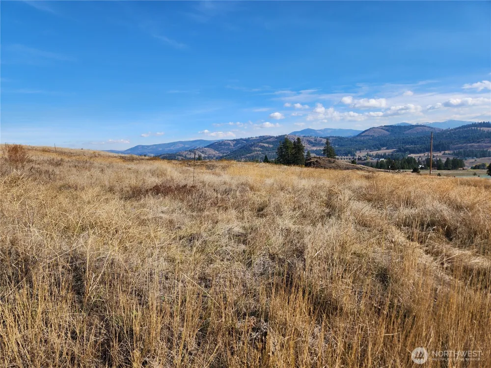24 Spoke Lane Republic, WA 99166