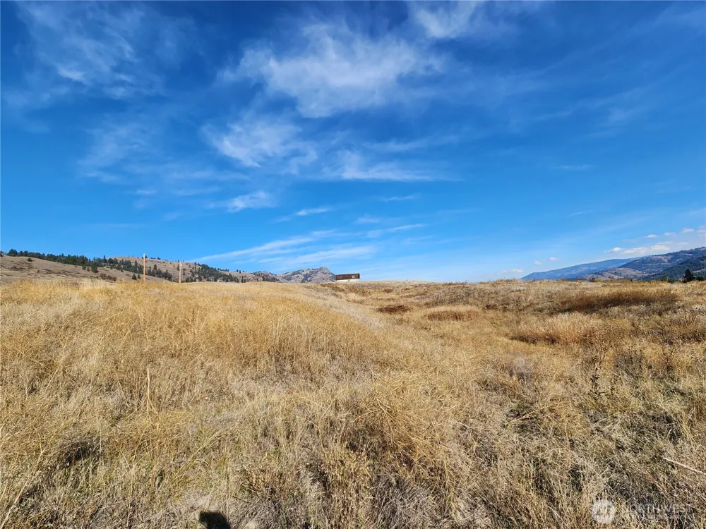 24 Spoke Lane Republic, WA 99166