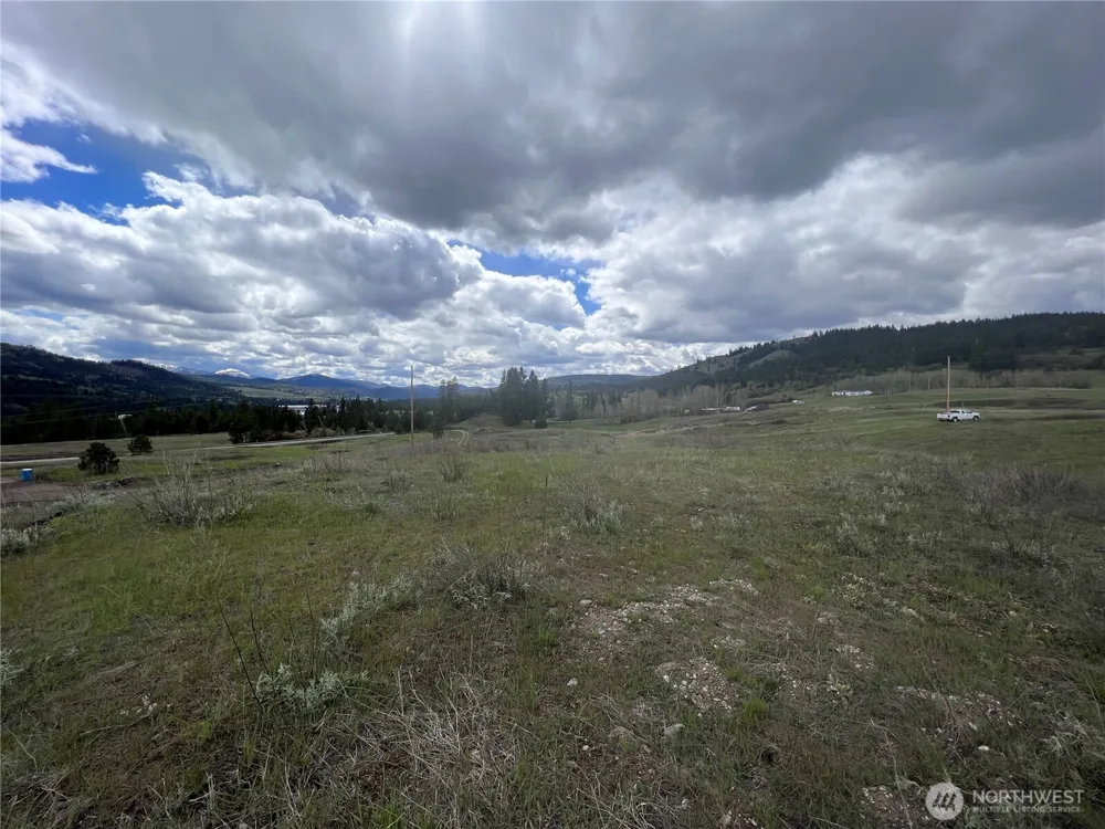 24 Spoke Lane Republic, WA 99166