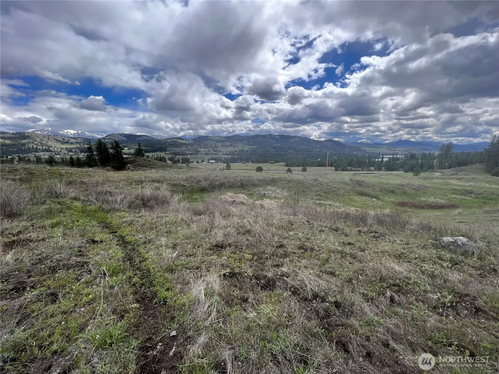 24 Spoke Lane Republic, WA 99166