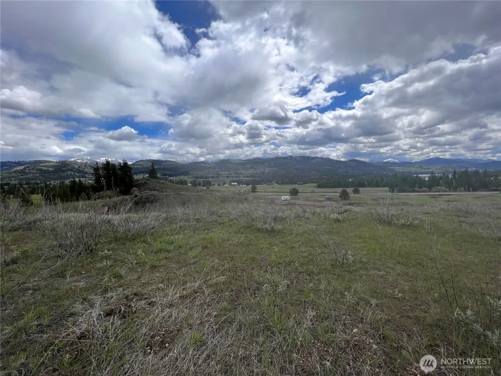 24 Spoke Lane Republic, WA 99166