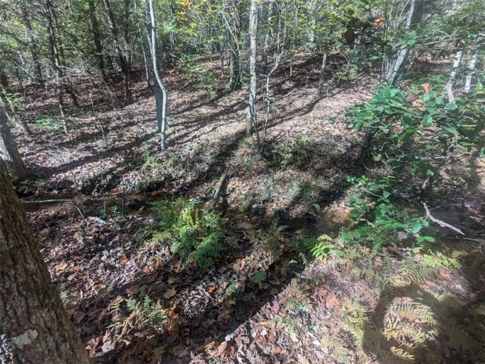 26.89 Shadow Lane Blue Ridge, GA 30513