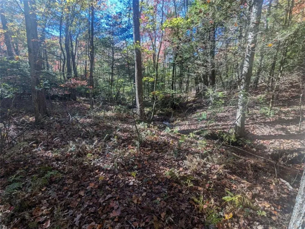 26.89 Shadow Lane Blue Ridge, GA 30513