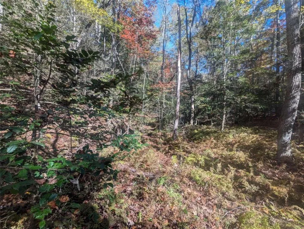 26.89 Shadow Lane Blue Ridge, GA 30513