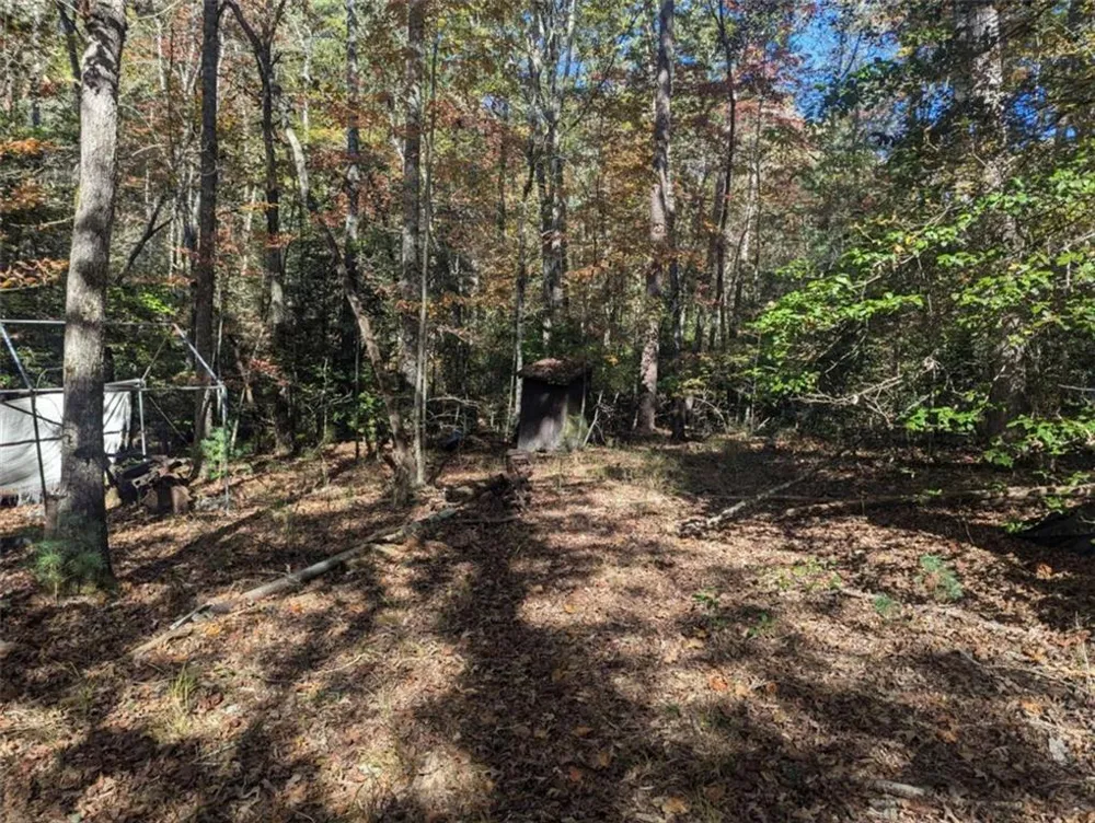 26.89 Shadow Lane Blue Ridge, GA 30513