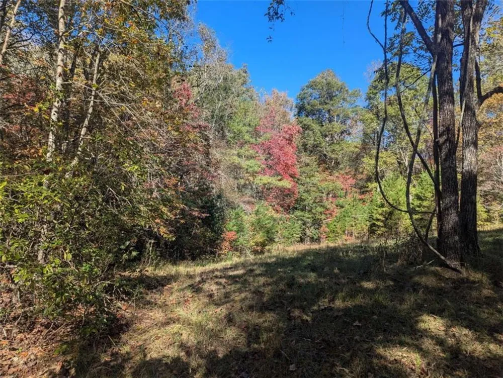 26.89 Shadow Lane Blue Ridge, GA 30513