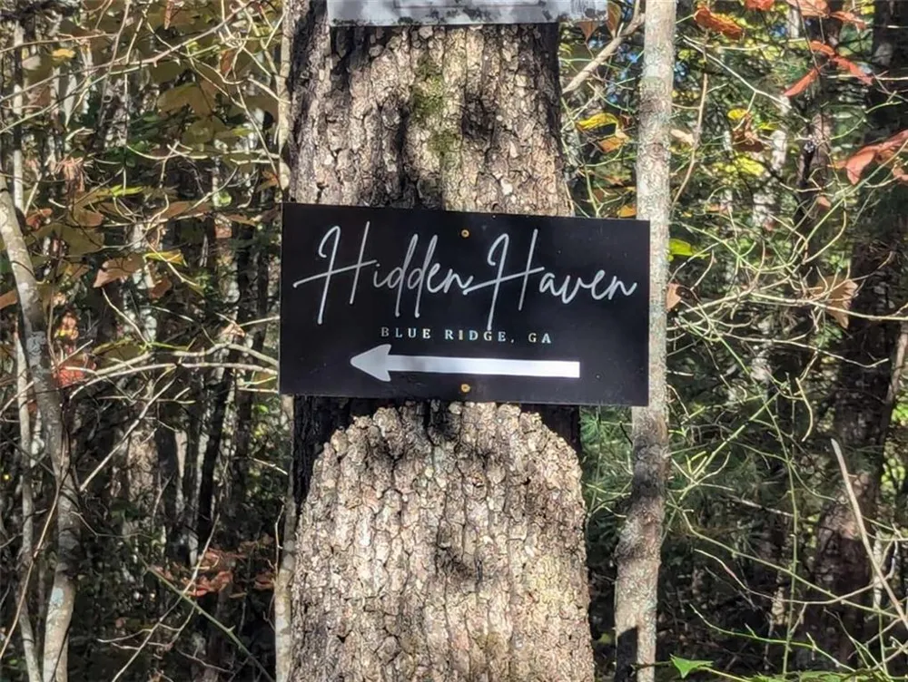 26.89 Shadow Lane Blue Ridge, GA 30513