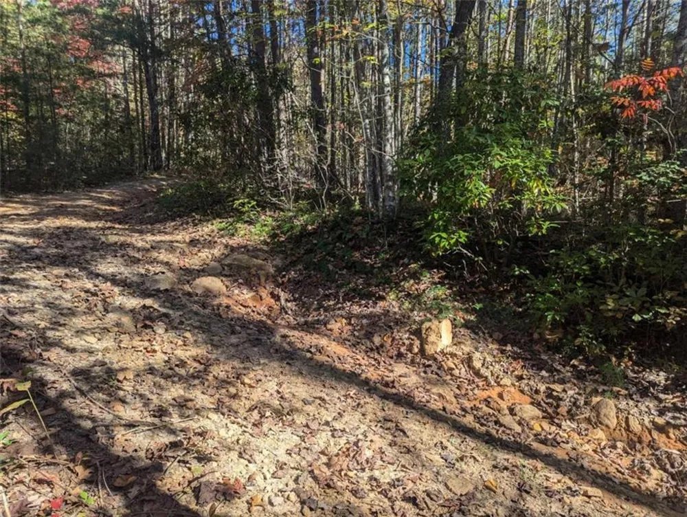 26.89 Shadow Lane Blue Ridge, GA 30513