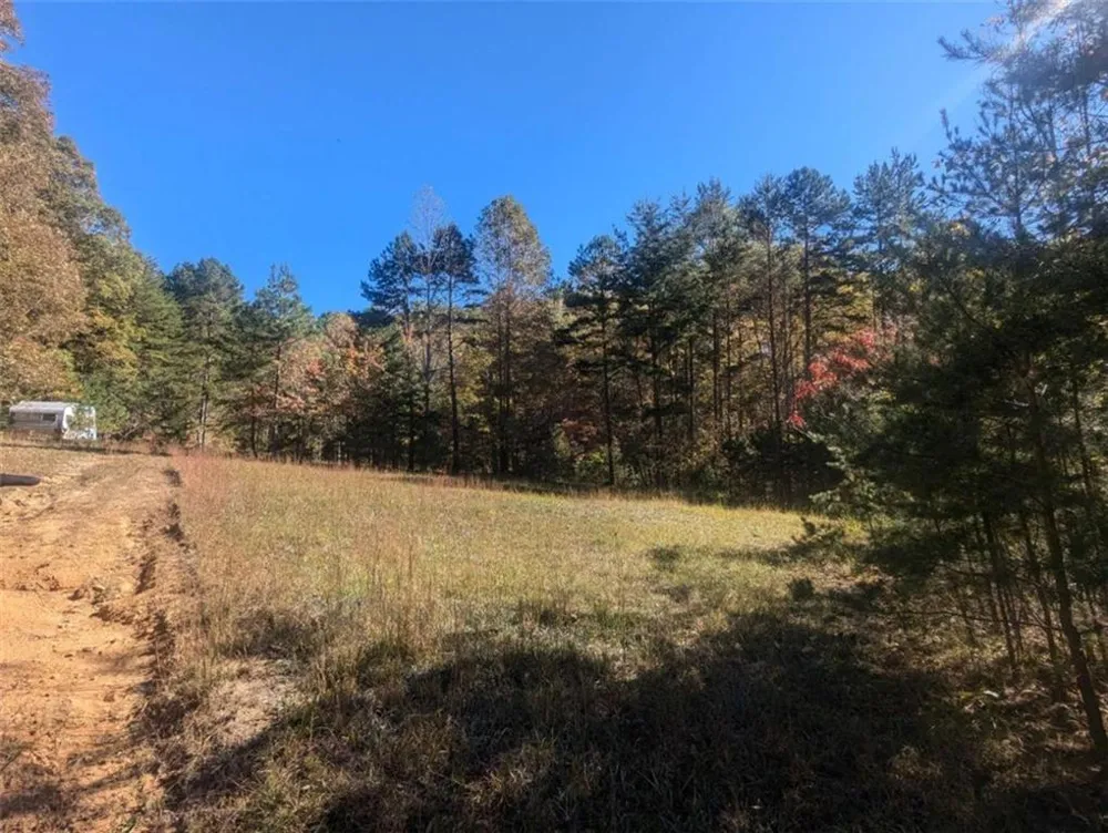 26.89 Shadow Lane Blue Ridge, GA 30513