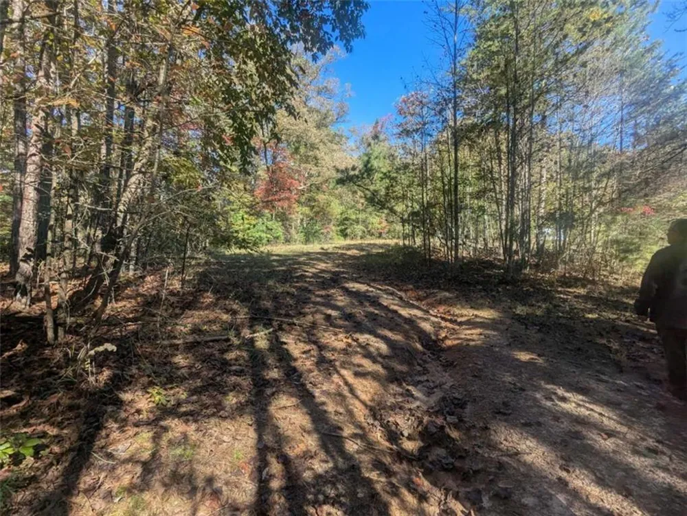26.89 Shadow Lane Blue Ridge, GA 30513