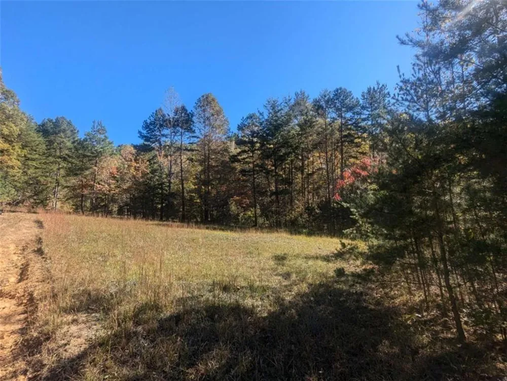26.89 Shadow Lane Blue Ridge, GA 30513