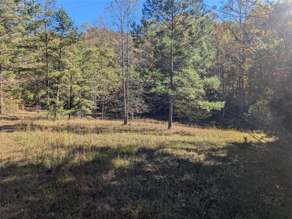 26.89 Shadow Lane Blue Ridge, GA 30513