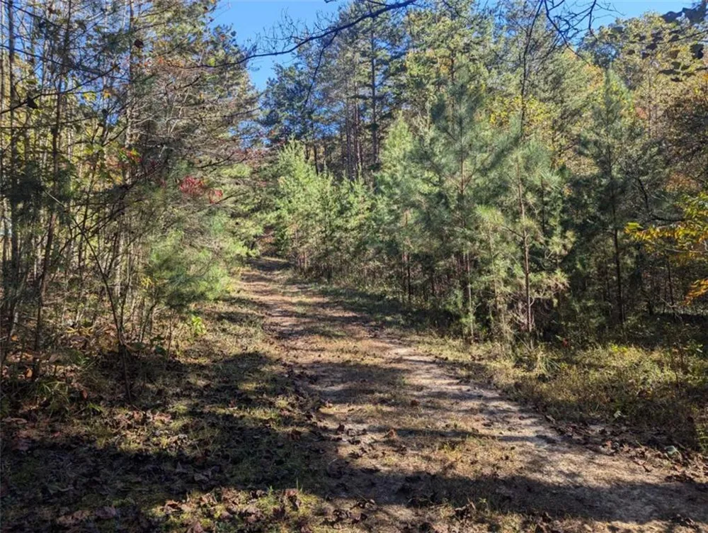 26.89 Shadow Lane Blue Ridge, GA 30513