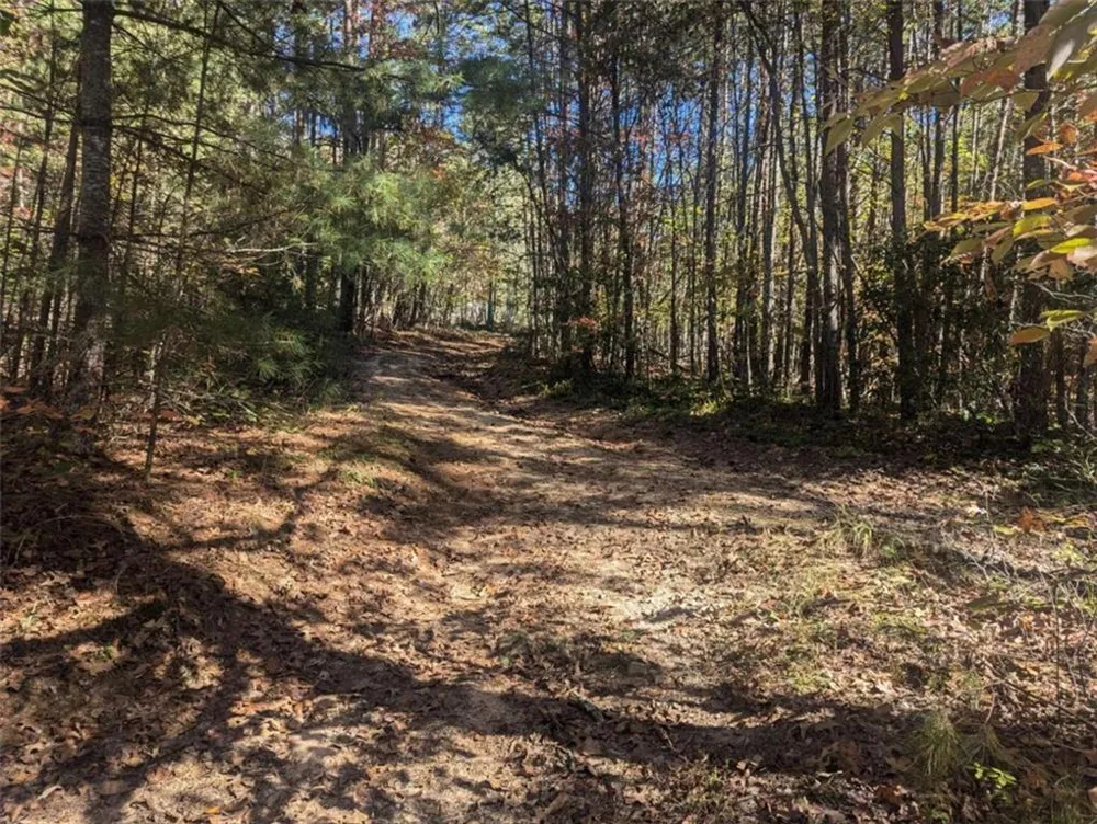 26.89 Shadow Lane Blue Ridge, GA 30513