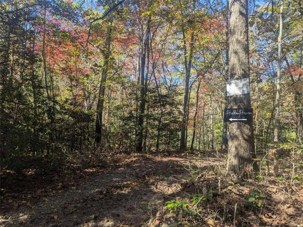 26.89 Shadow Lane Blue Ridge, GA 30513
