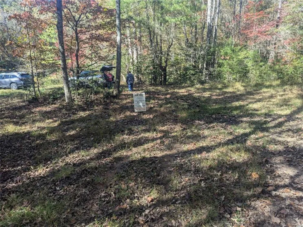 26.89 Shadow Lane Blue Ridge, GA 30513