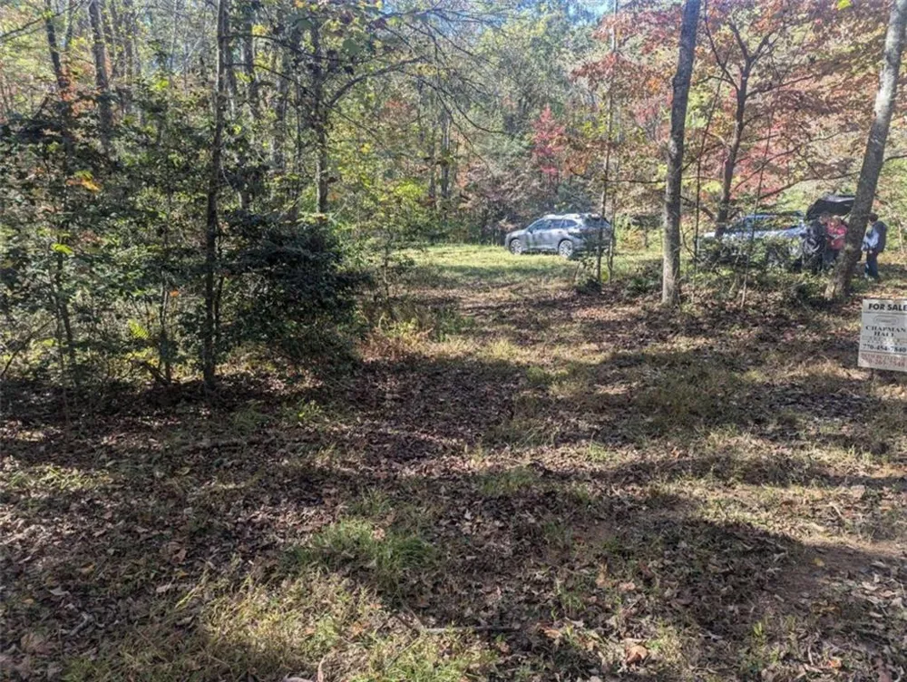 26.89 Shadow Lane Blue Ridge, GA 30513