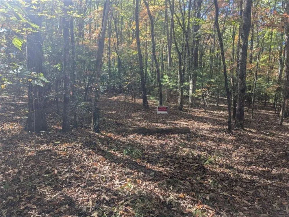 26.89 Shadow Lane Blue Ridge, GA 30513
