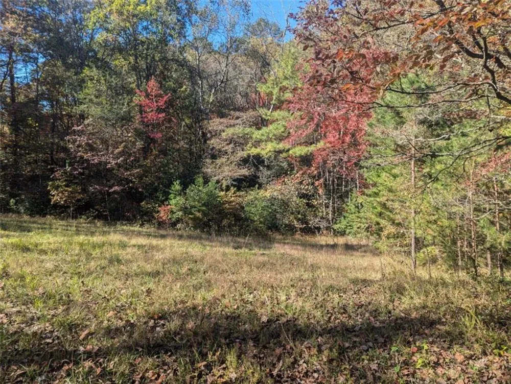 26.89 Shadow Lane Blue Ridge, GA 30513