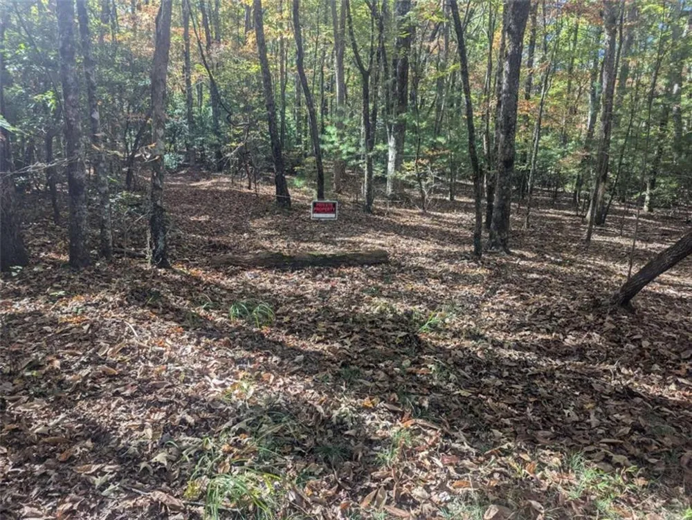 26.89 Shadow Lane Blue Ridge, GA 30513