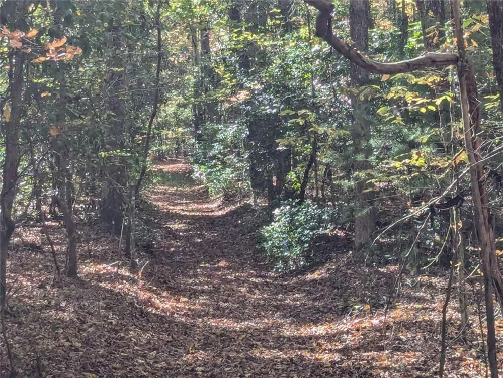 26.89 Shadow Lane Blue Ridge, GA 30513