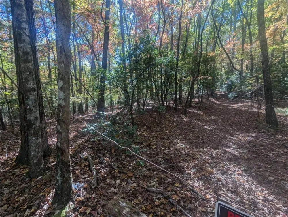 26.89 Shadow Lane Blue Ridge, GA 30513