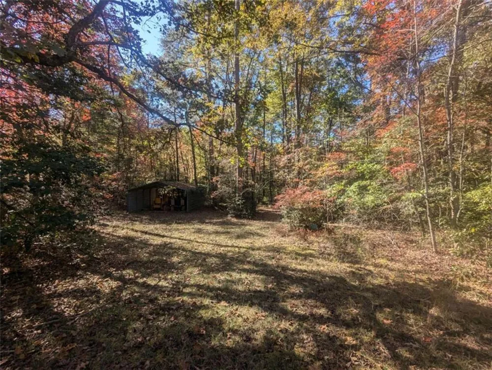 26.89 Shadow Lane Blue Ridge, GA 30513