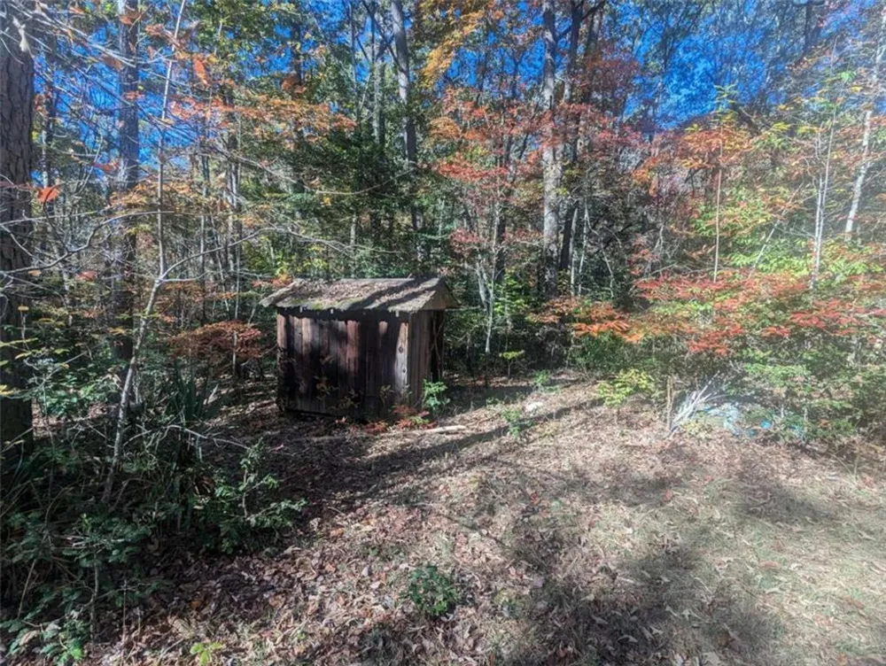 26.89 Shadow Lane Blue Ridge, GA 30513