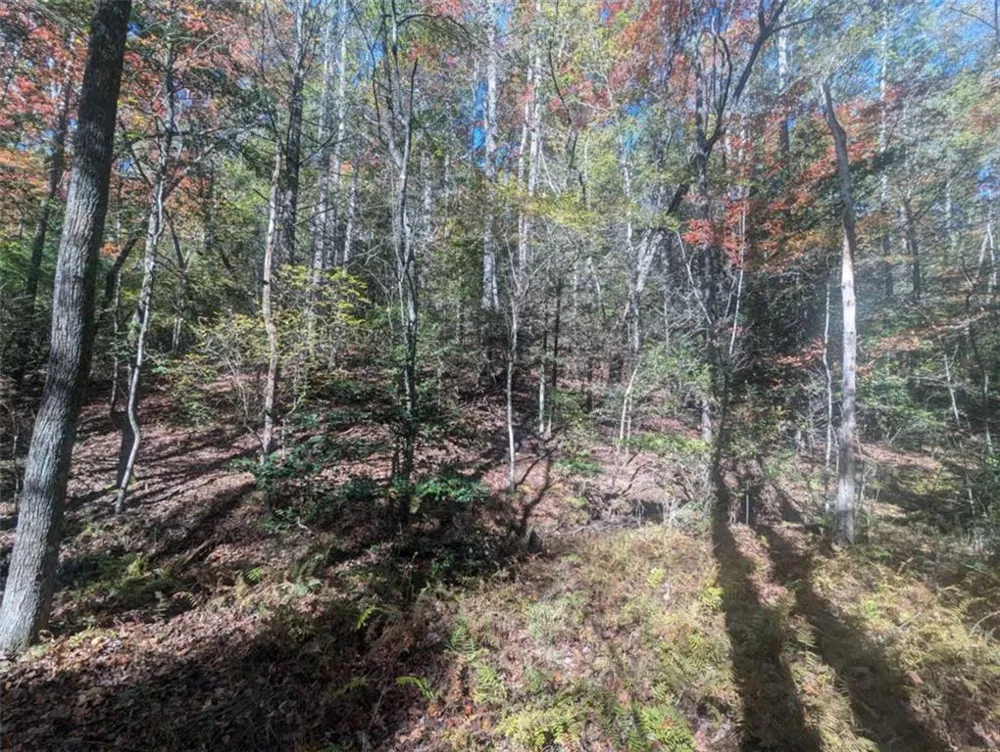 26.89 Shadow Lane Blue Ridge, GA 30513