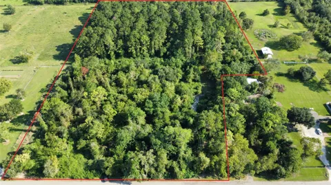 4925 County Road 435