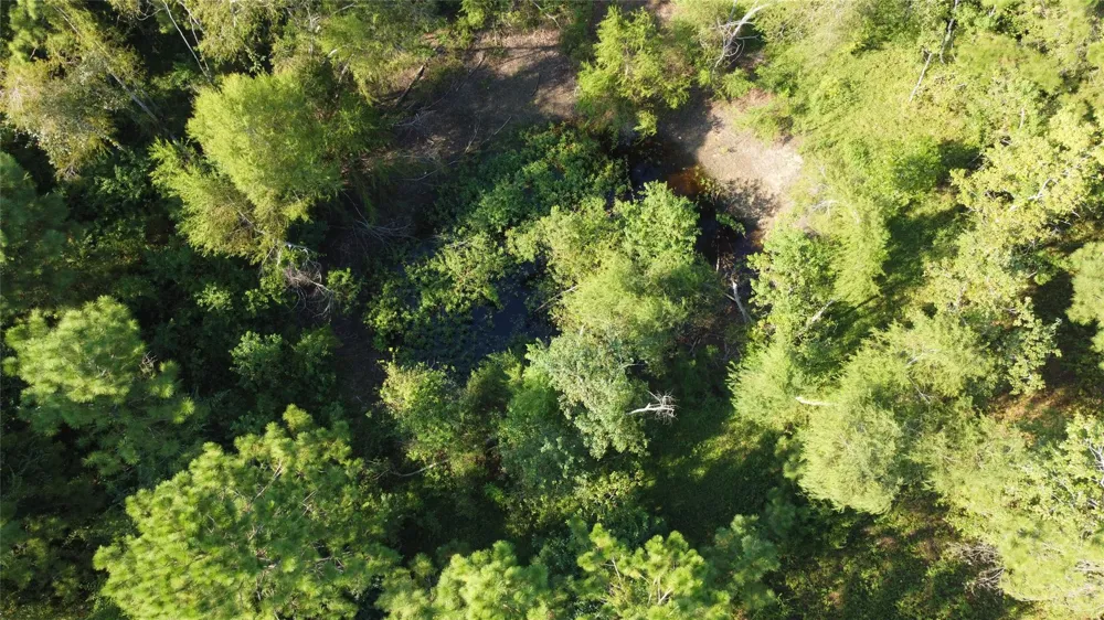 4925 County Road 435 Alvin, TX 77511
