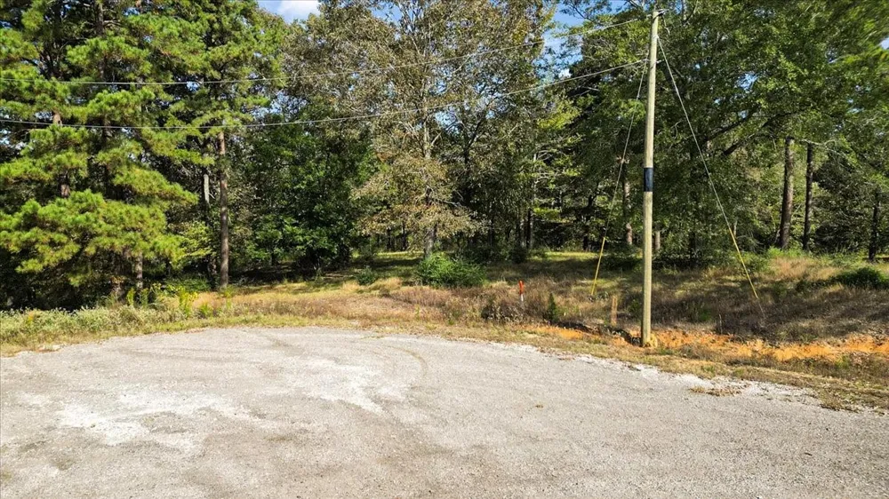 Private Road Big Sandy, TX 75755
